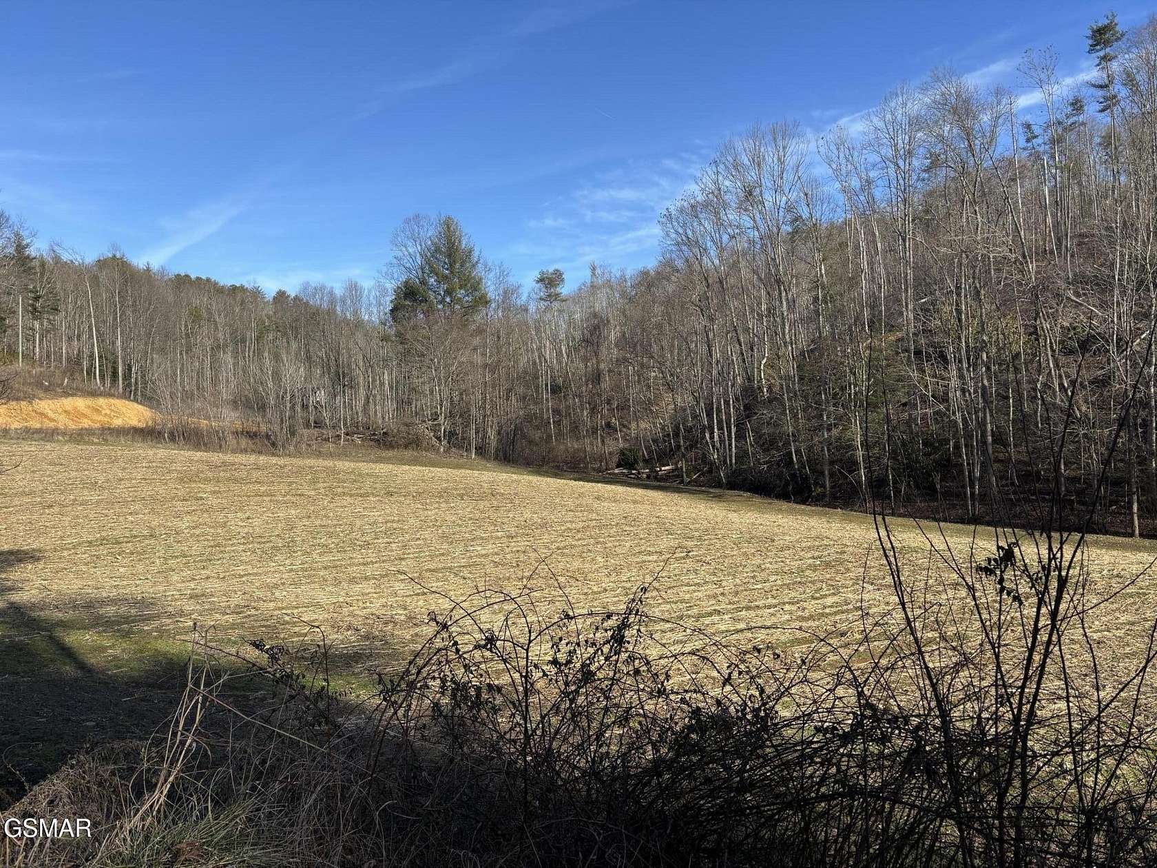 53.4 Acres of Recreational Land for Sale in Del Rio, Tennessee