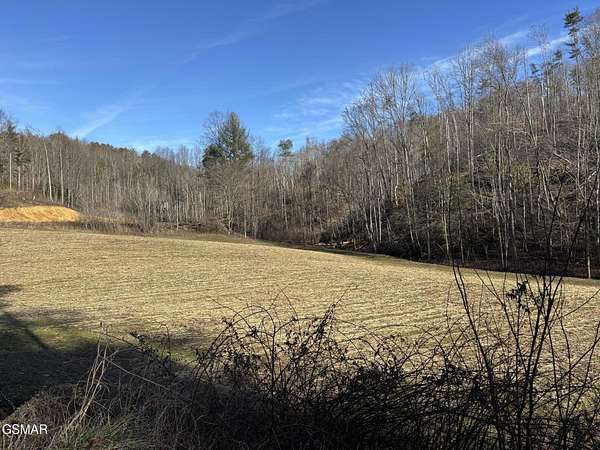 53.4 Acres of Recreational Land for Sale in Del Rio, Tennessee