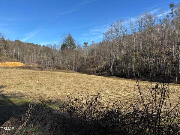 53.4 Acres of Recreational Land for Sale in Del Rio, Tennessee