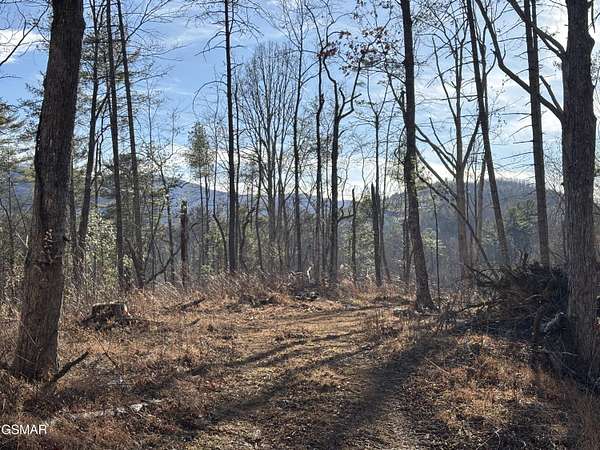 41.7 Acres of Recreational Land for Sale in Del Rio, Tennessee