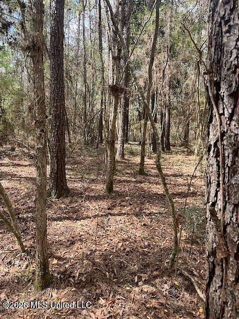 39 Acres of Recreational & Residential Land for Sale in Tylertown, Mississippi