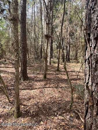 39 Acres of Recreational & Residential Land for Sale in Tylertown, Mississippi