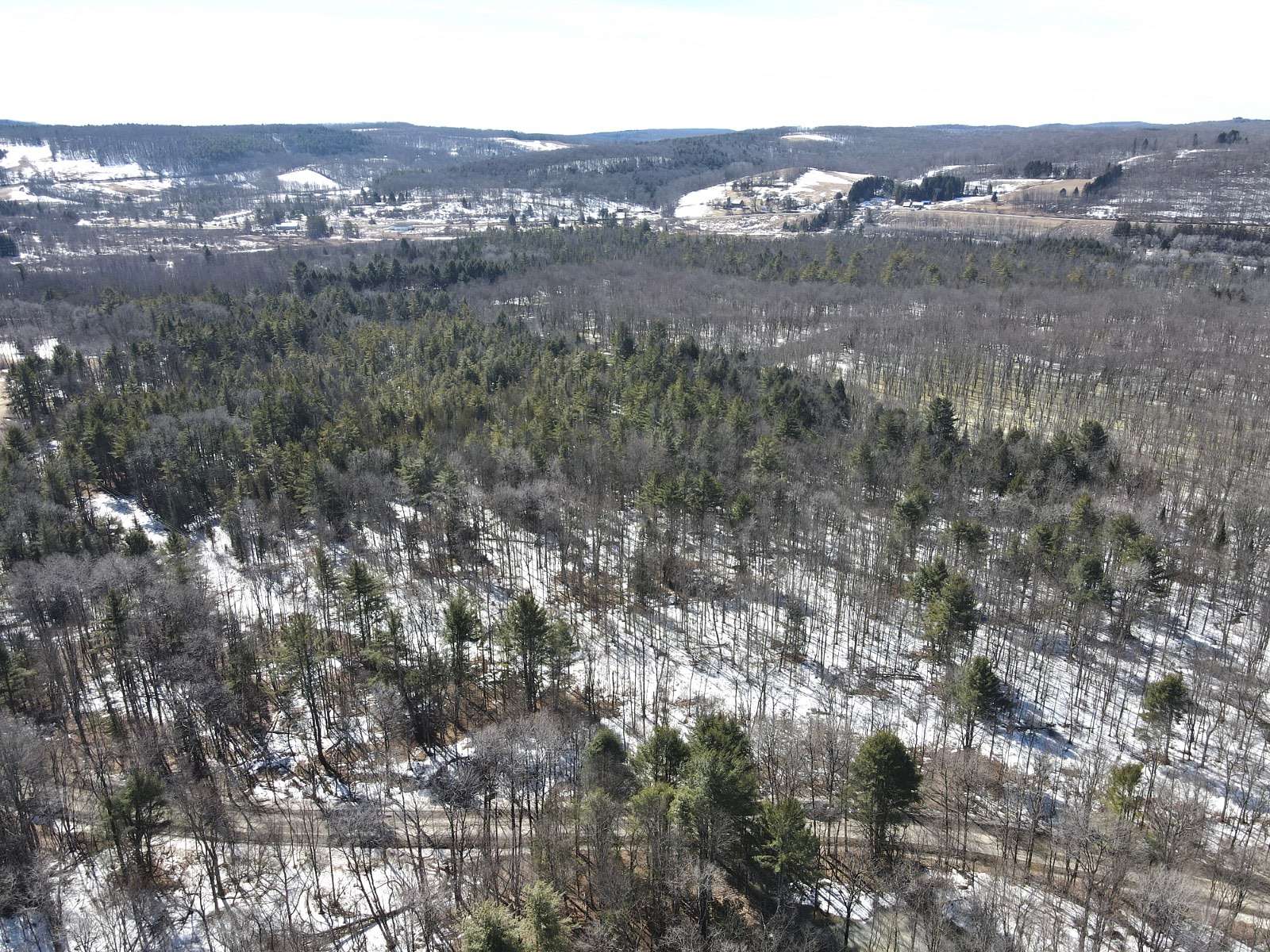 11.8 Acres of Land for Sale in Fly Creek, New York