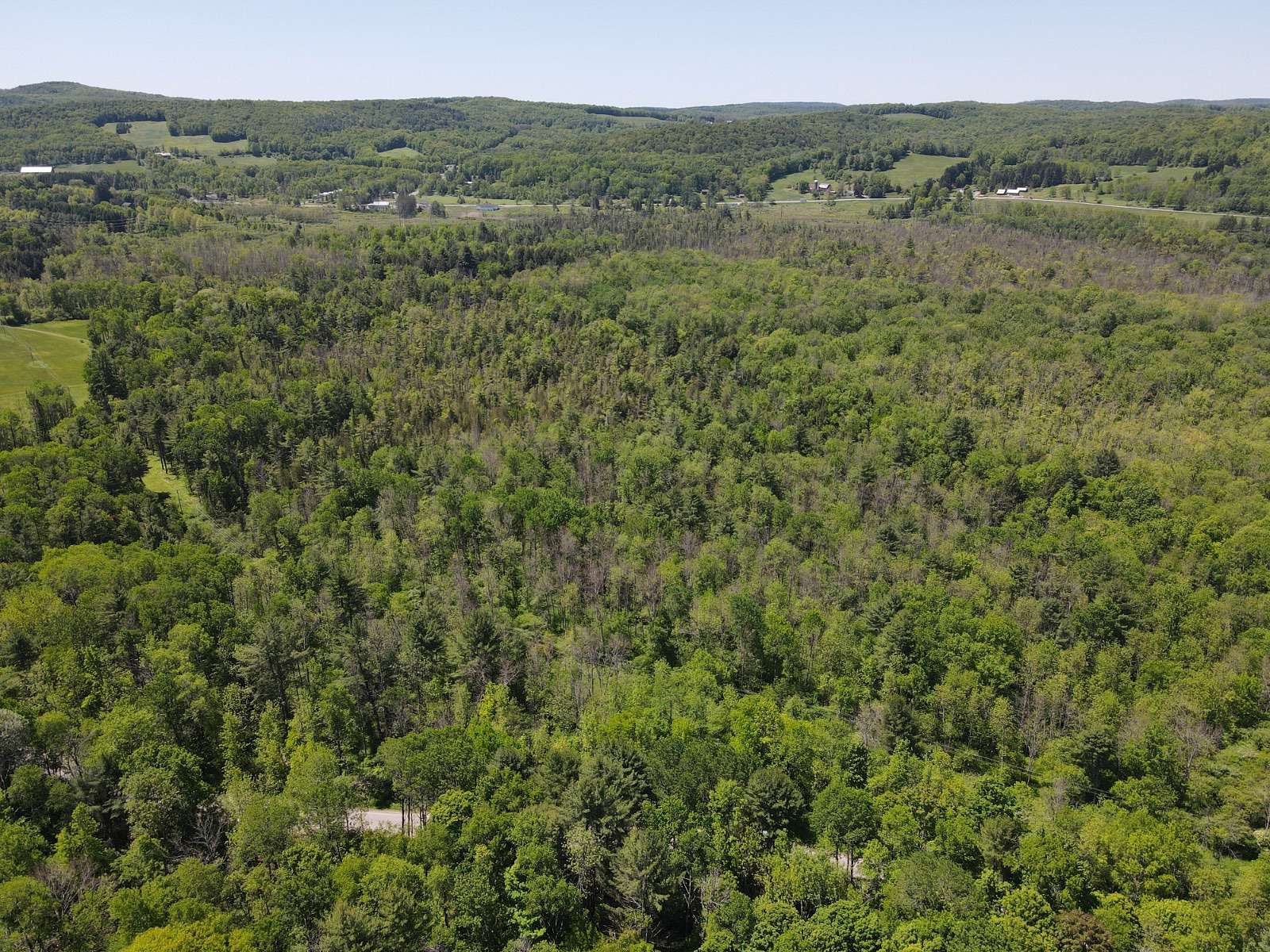 11.8 Acres of Land for Sale in Fly Creek, New York
