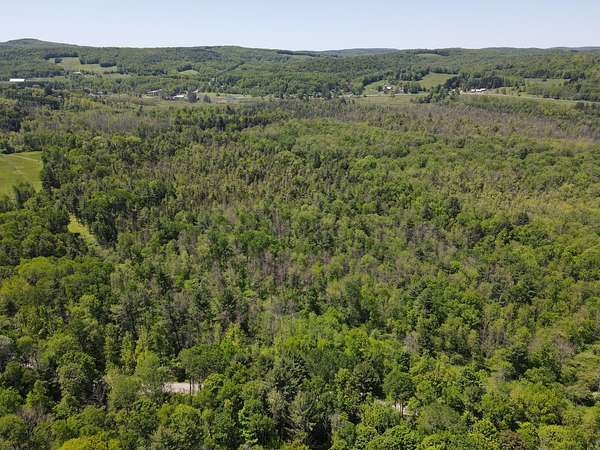 11.8 Acres of Land for Sale in Fly Creek, New York