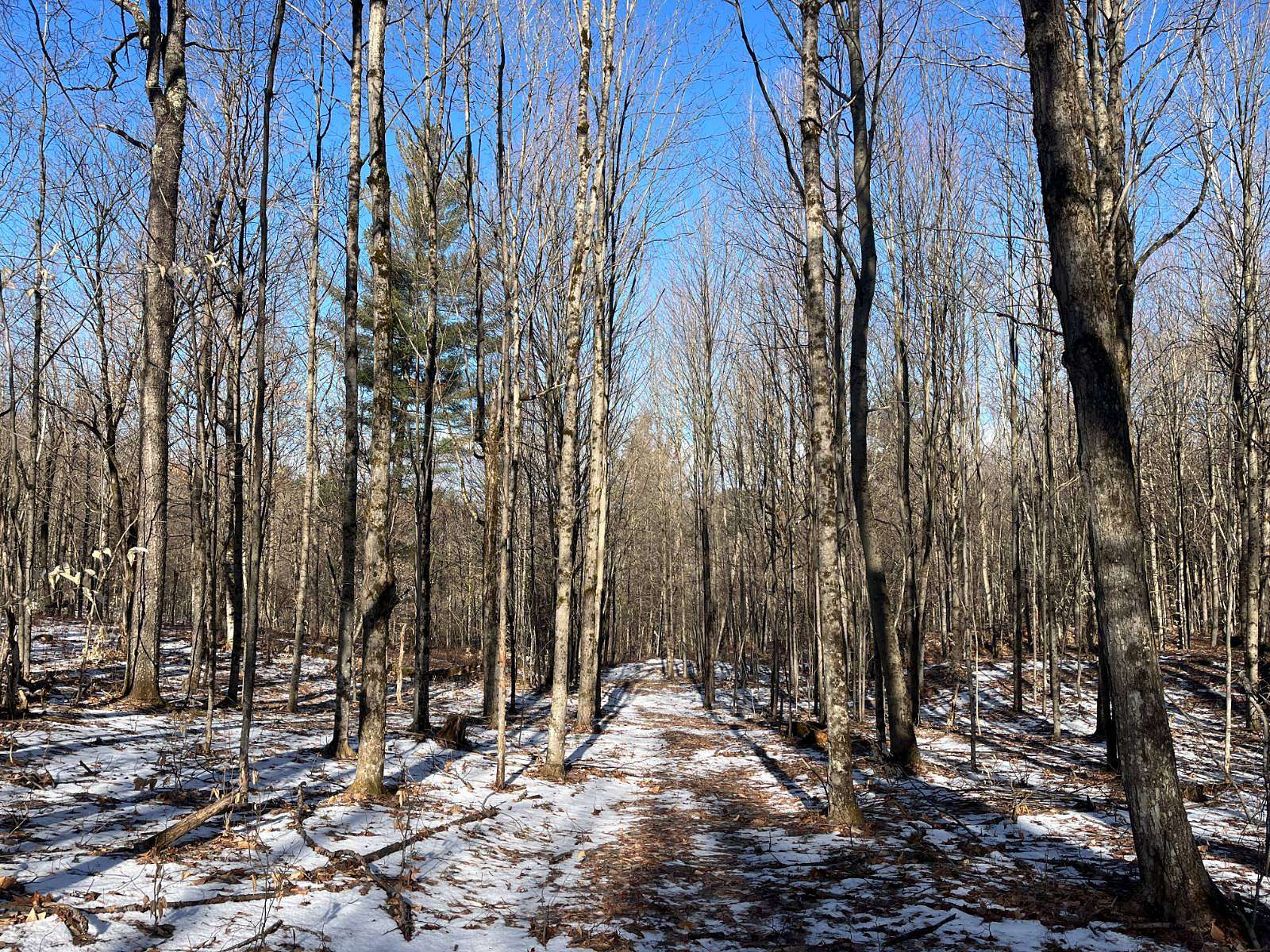 8.2 Acres of Land for Sale in Russell, New York