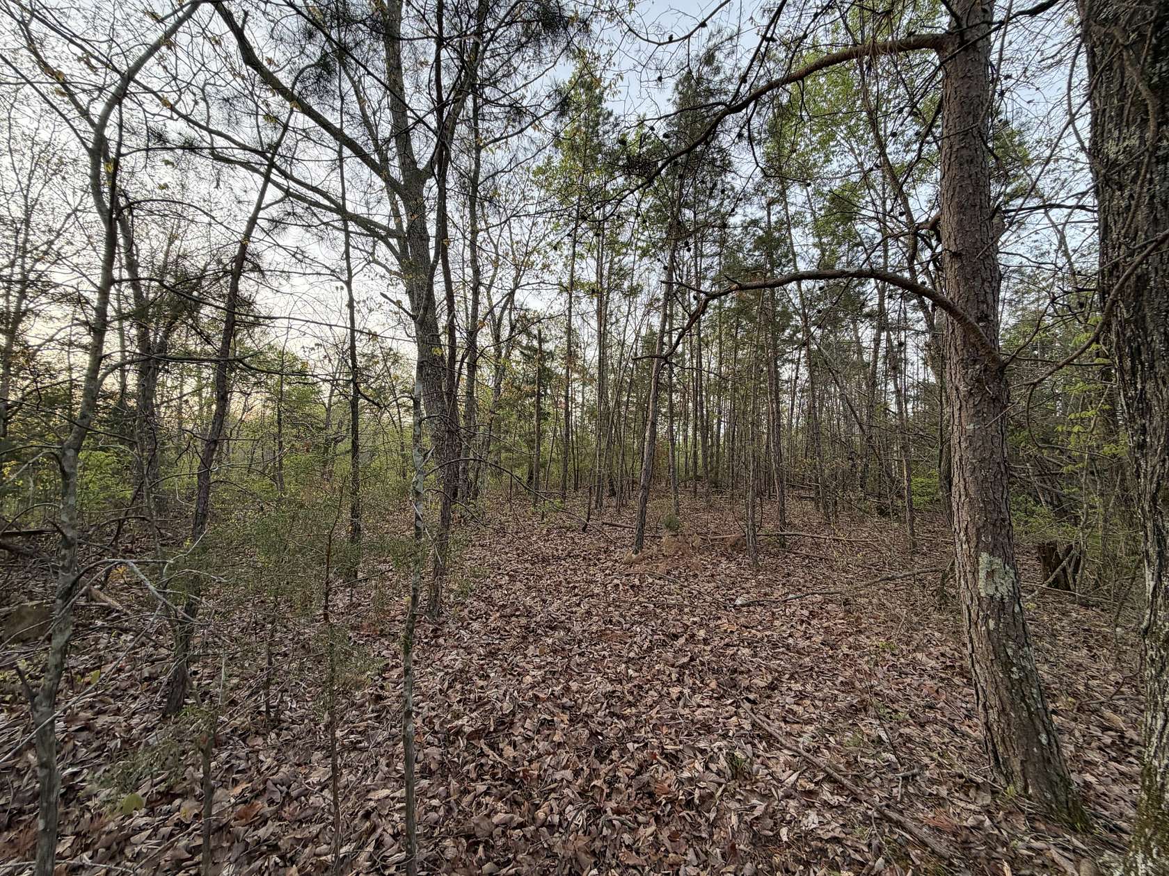 26.2 Acres of Recreational Land for Sale in Centerville, Tennessee