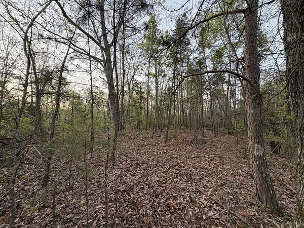 26.2 Acres of Recreational Land for Sale in Centerville, Tennessee