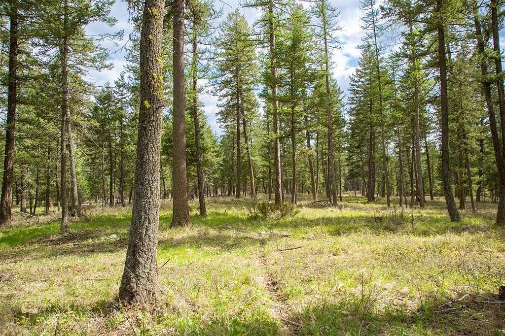 38.3 Acres of Recreational & Residential Land for Sale in Kalispell, Montana