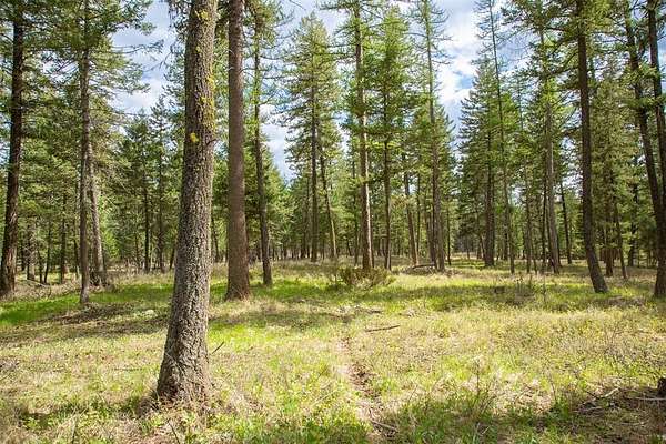 38.3 Acres of Recreational & Residential Land for Sale in Kalispell, Montana