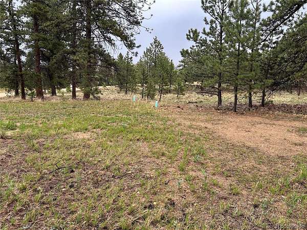 2 Acres of Residential Land for Sale in Hartsel, Colorado