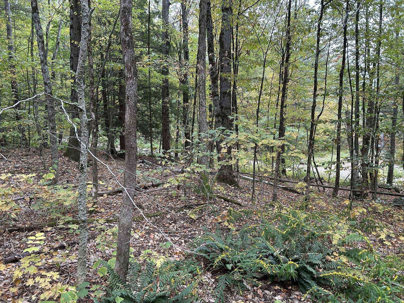 6.2 Acres of Residential Land for Sale in Townshend, Vermont