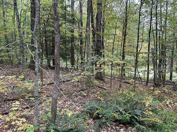 6.2 Acres of Residential Land for Sale in Townshend, Vermont