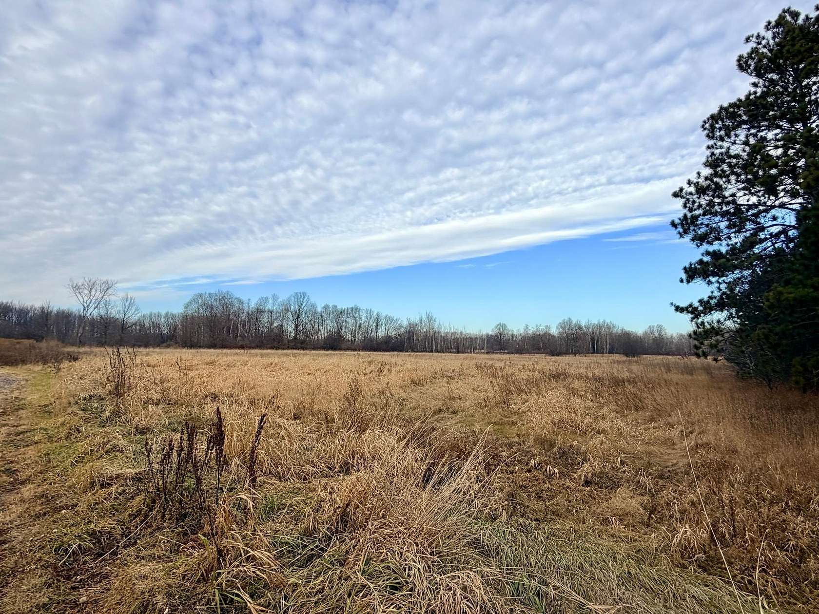 6.52 Acres of Land for Sale in Rush City, Minnesota