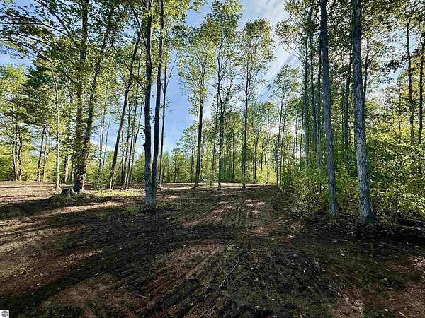 5 Acres of Residential Land for Sale in Maple City, Michigan