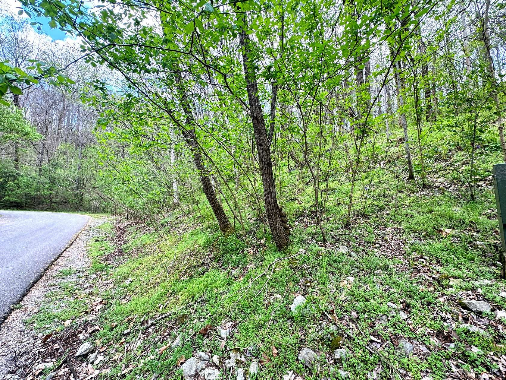 0.37 Acres of Residential Land for Sale in Smithville, Tennessee