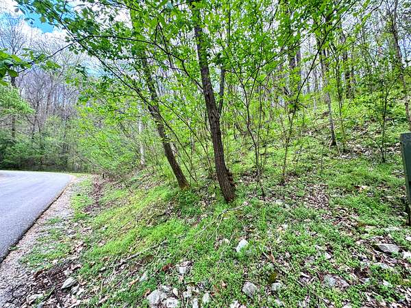 0.37 Acres of Residential Land for Sale in Smithville, Tennessee