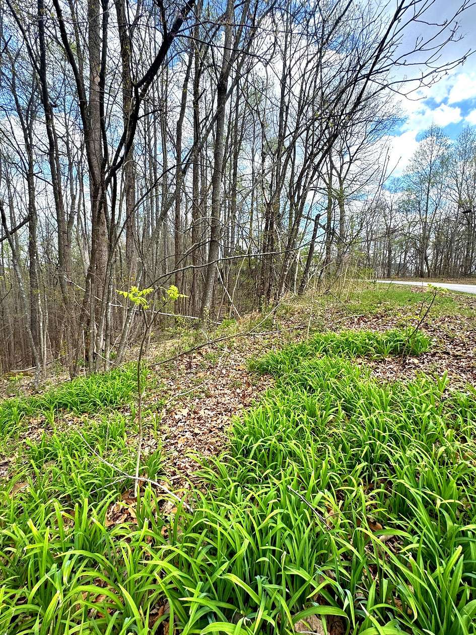 0.91 Acres of Residential Land for Sale in Smithville, Tennessee