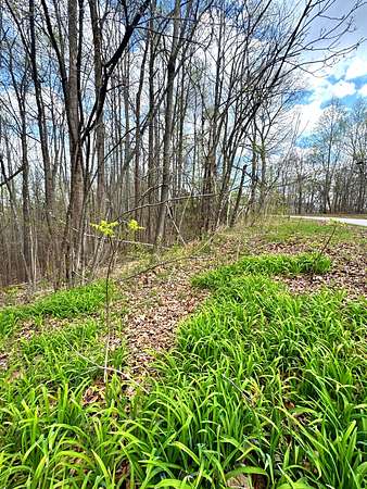 0.91 Acres of Residential Land for Sale in Smithville, Tennessee