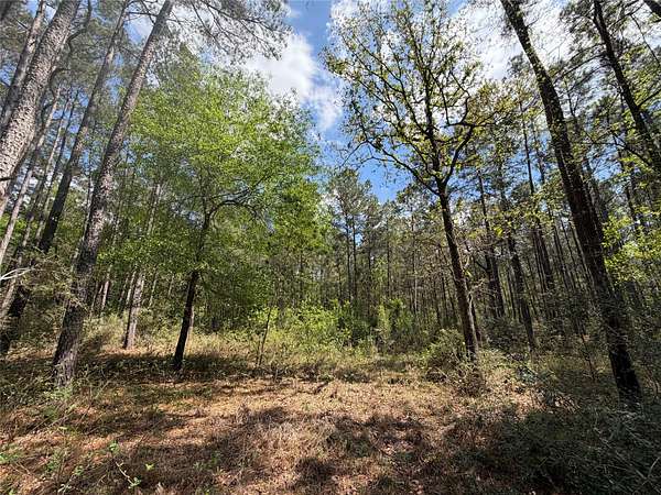 2.37 Acres of Residential Land for Sale in Huntsville, Texas