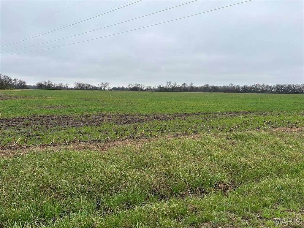 40 Acres of Agricultural Land for Sale in Keyesport, Illinois