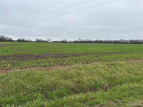 40 Acres of Agricultural Land for Sale in Keyesport, Illinois