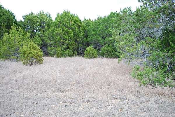 0.32 Acres of Residential Land for Sale in Whitney, Texas