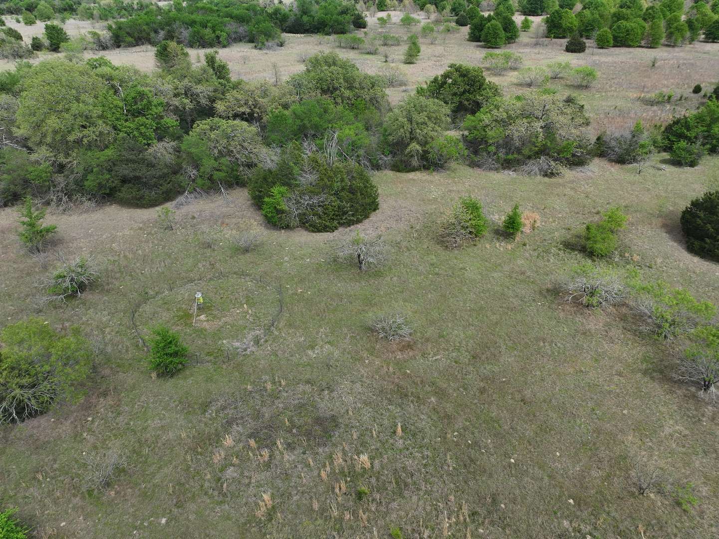 54.2 Acres of Land for Sale in Kosse, Texas