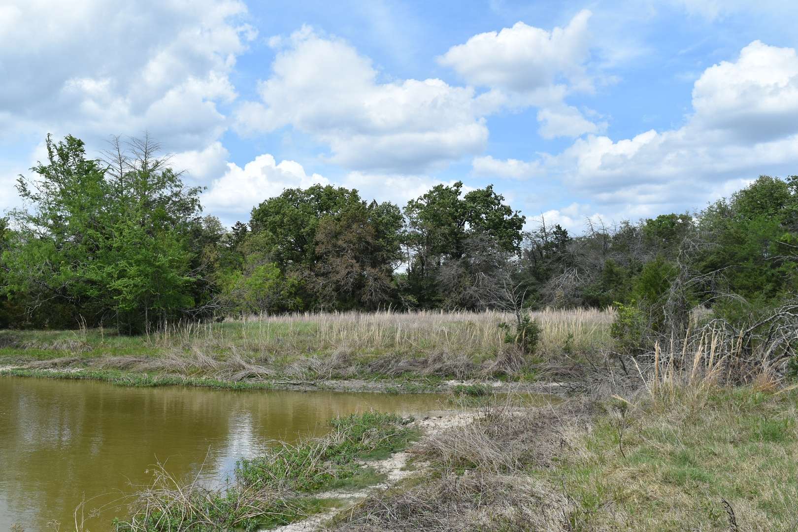 54.2 Acres of Land for Sale in Kosse, Texas