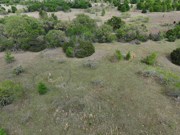 54.2 Acres of Land for Sale in Kosse, Texas