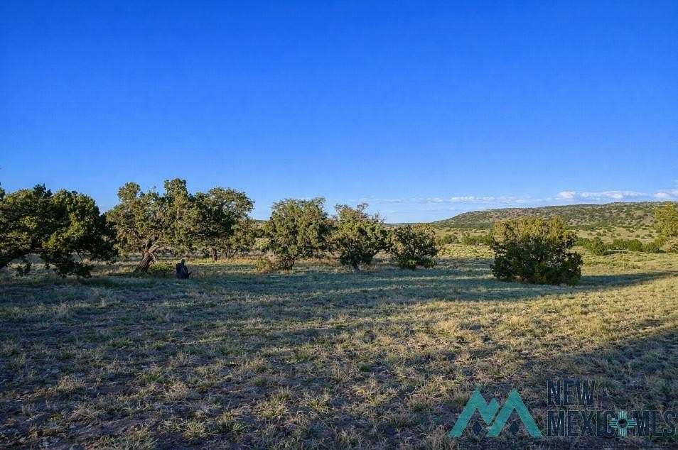 21 Acres of Recreational & Residential Land for Sale in Quemado, New Mexico