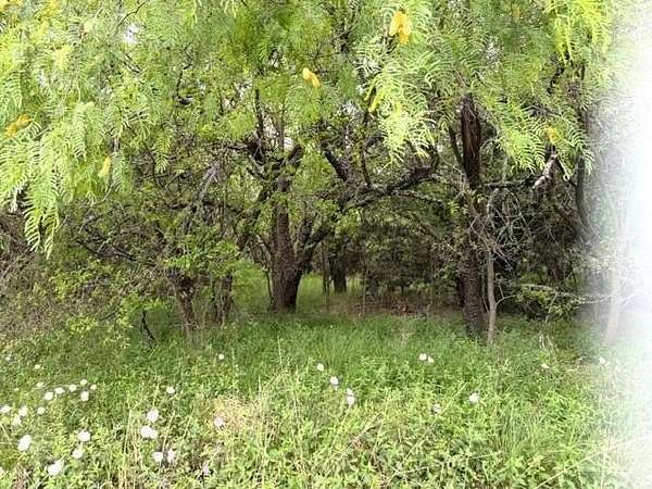 0.28 Acres of Residential Land for Sale in Mingus, Texas