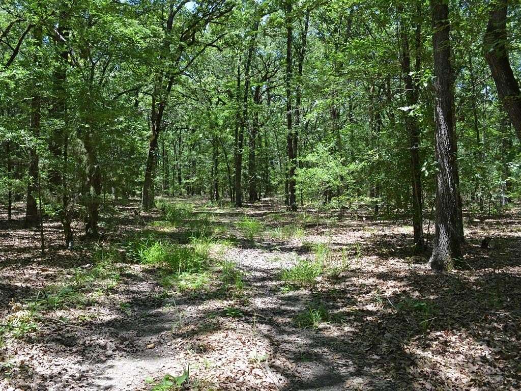 213 Acres of Recreational Land for Sale in Pattonville, Texas