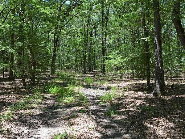 213 Acres of Recreational Land for Sale in Pattonville, Texas