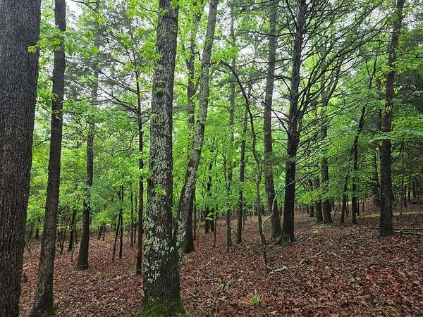 5 Acres of Residential Land for Sale in LaRue, Texas