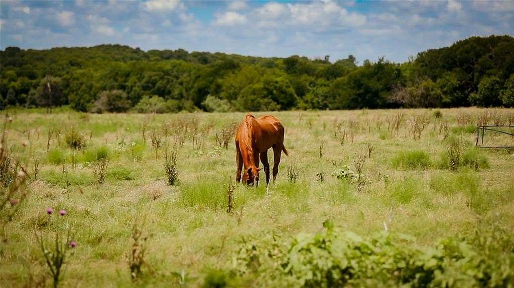 10.5 Acres of Land for Sale in Milford, Texas