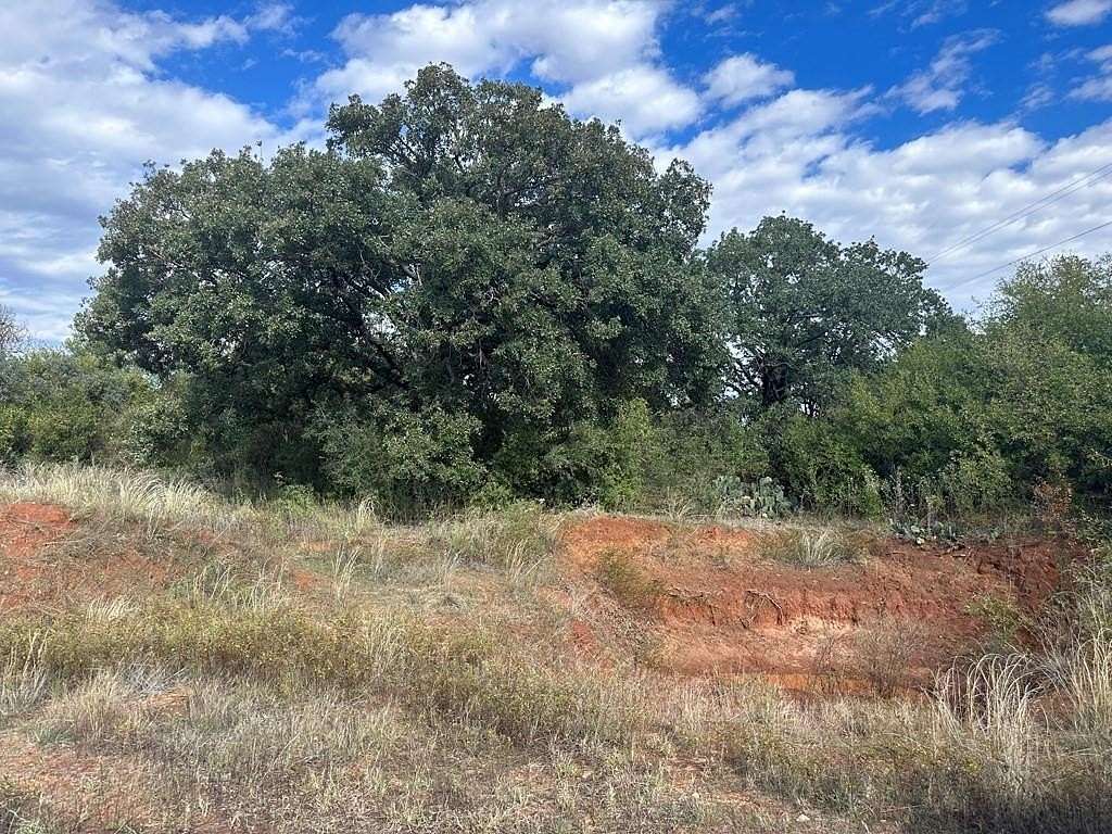 20 Acres of Recreational & Residential Land for Sale in Merkel, Texas
