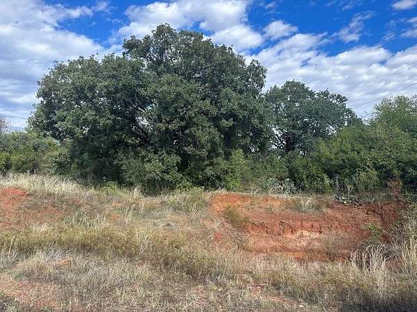 20 Acres of Recreational & Residential Land for Sale in Merkel, Texas