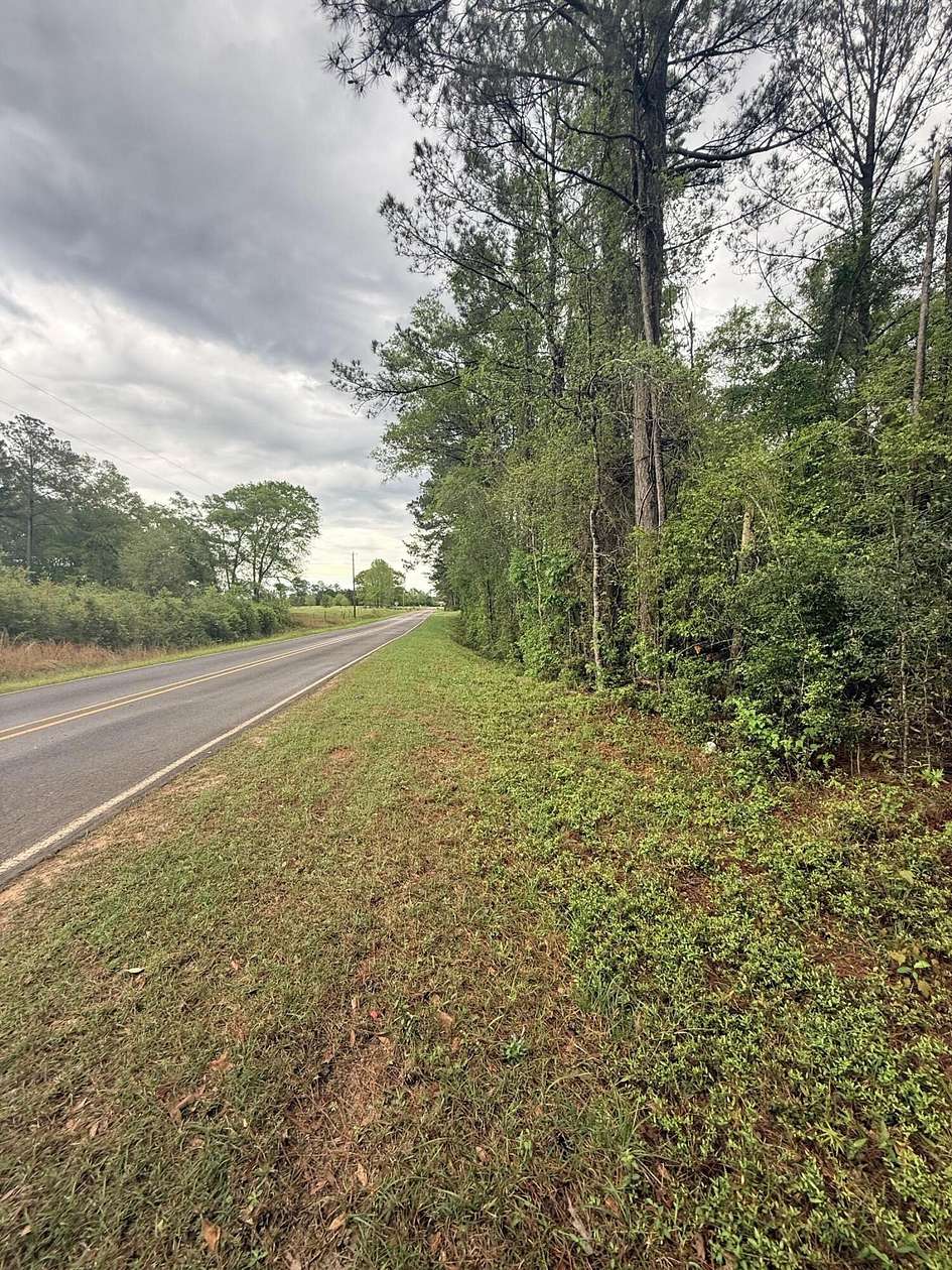 Residential Land for Sale in Moselle, Mississippi