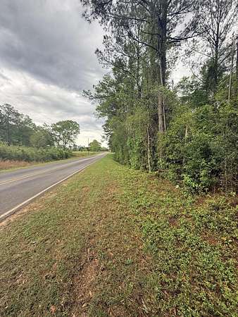 Residential Land for Sale in Moselle, Mississippi