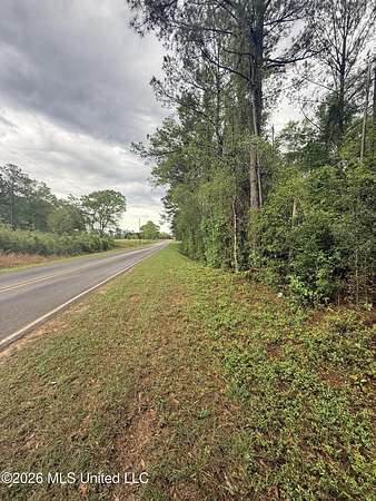 63 Acres of Recreational & Residential Land for Sale in Moselle, Mississippi