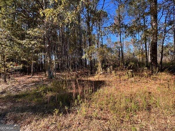 2 Acres of Residential Land for Sale in Loganville, Georgia
