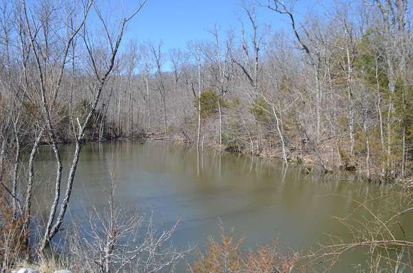 20 Acres of Land for Sale in Bruner, Missouri