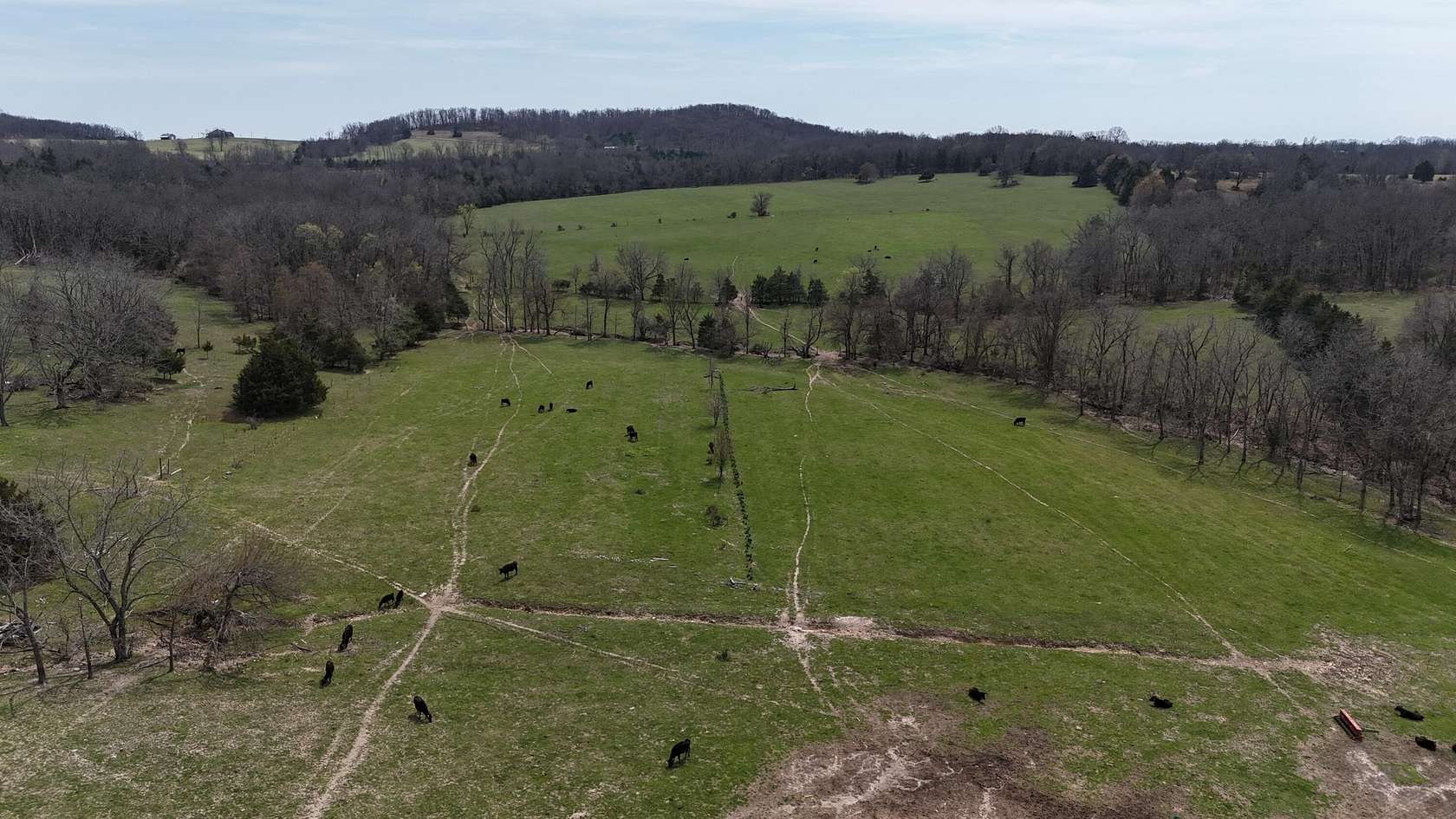 40 Acres of Land for Sale in Macomb, Missouri