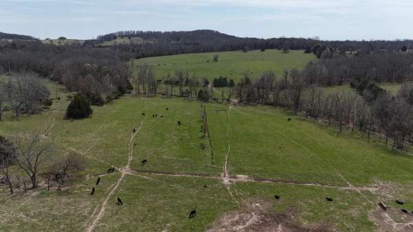 40 Acres of Land for Sale in Macomb, Missouri