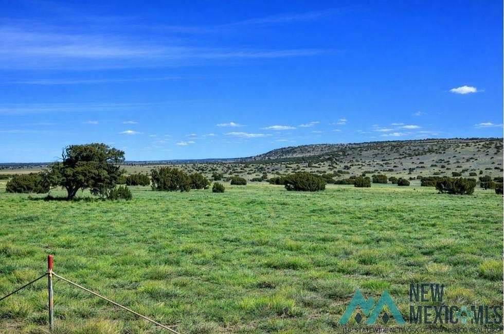 11.9 Acres of Recreational & Residential Land for Sale in Quemado, New Mexico