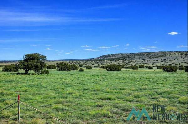 11.9 Acres of Recreational & Residential Land for Sale in Quemado, New Mexico