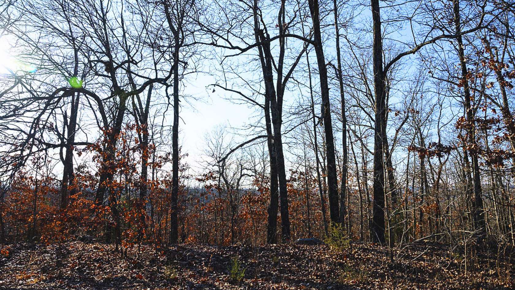 0.33 Acres of Residential Land for Sale in Horseshoe Bend, Arkansas