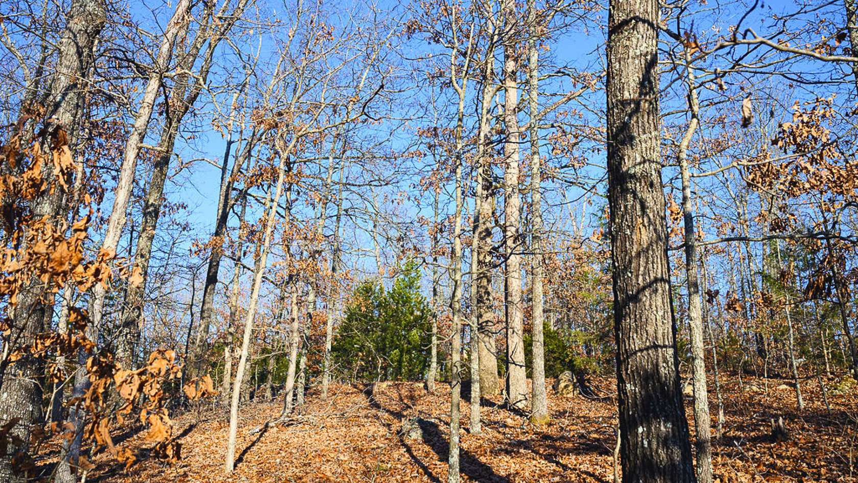 0.33 Acres of Residential Land for Sale in Horseshoe Bend, Arkansas