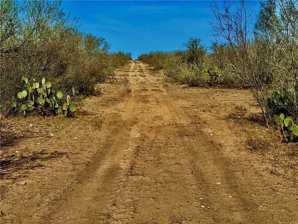 40.5 Acres of Land for Sale in San Diego, Texas